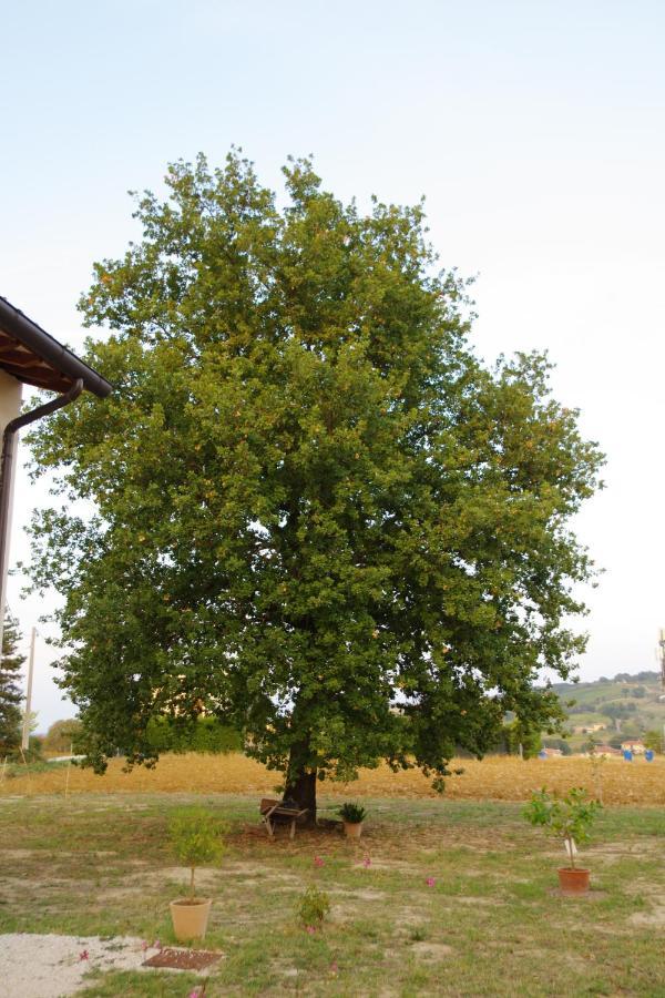 Beb Montefratta Fratta Terme Exterior foto